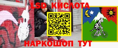 дурь Берёзовский