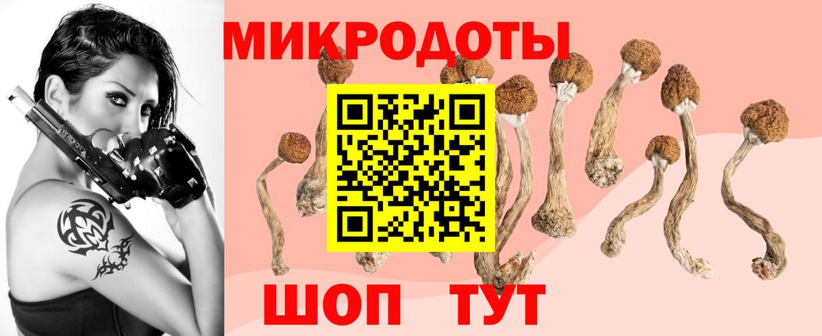 Псилоцибиновые грибы MAGIC MUSHROOMS  Псилоцибиновые грибы прущие грибы  Когалым  Вход с VPN 