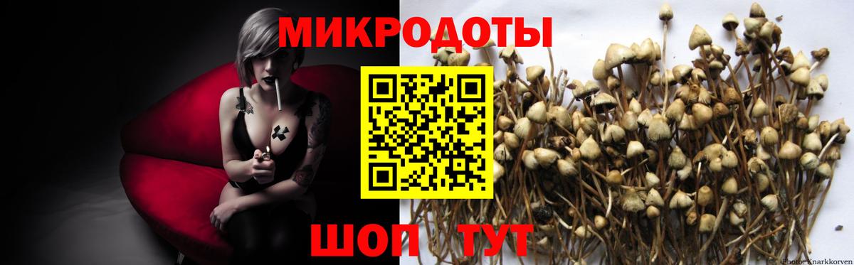Псилоцибиновые грибы GOLDEN TEACHER Когалым
